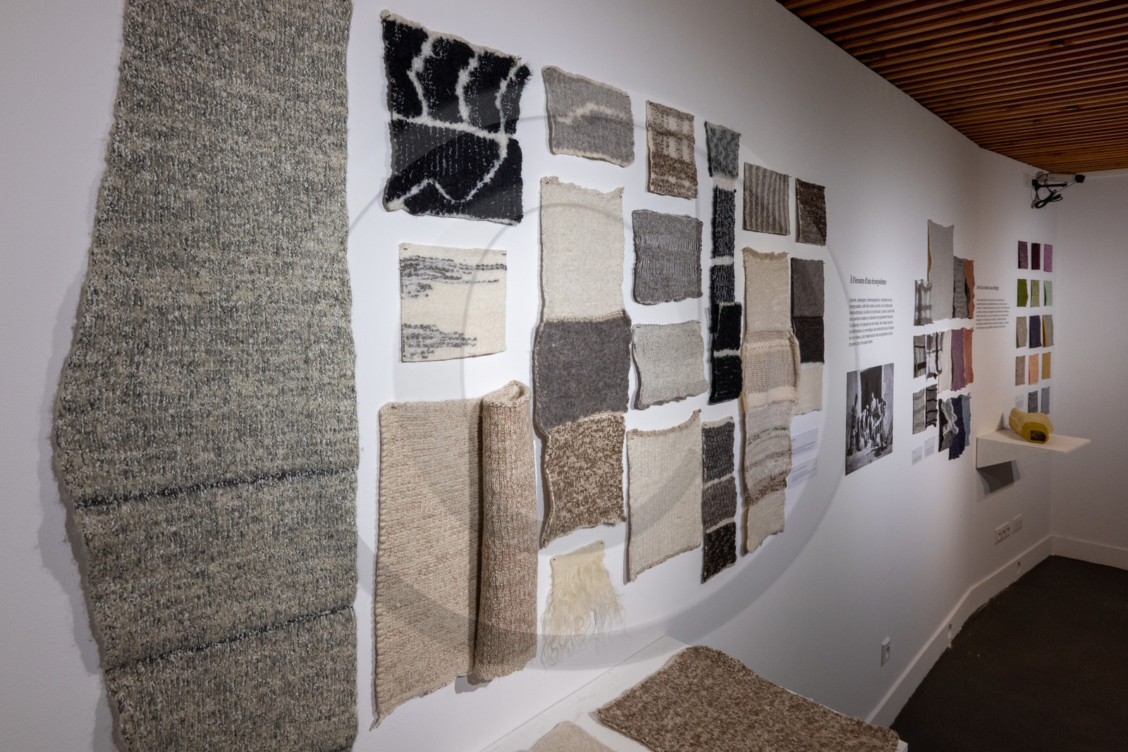 Expositions à la maison du Berger - Champoléon