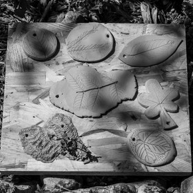 16 mai 2025 : Journée des aidants