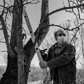 24 février 2021 : on taille, on prépare le jardin...