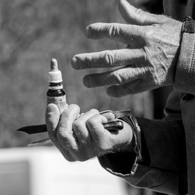 10 avril 2022 : Initiation à la greffe d'arbres fruitiers