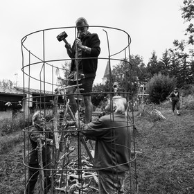 21 août 2019 : installation d'une oeuvre en bois flotté
