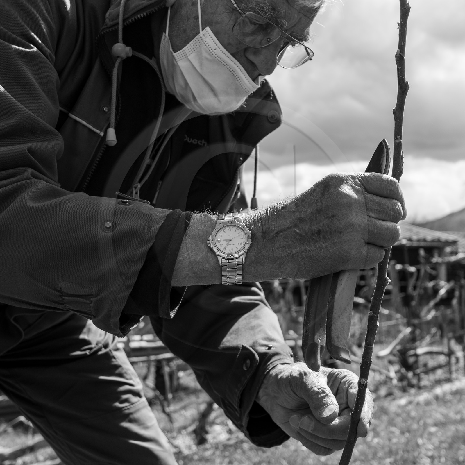 14 avril 2021 : collages, taille, jardinage