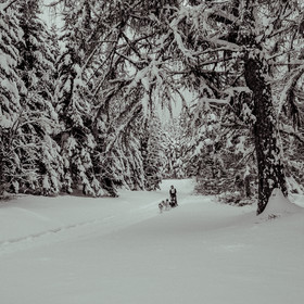La Valgaude Traineau 2015