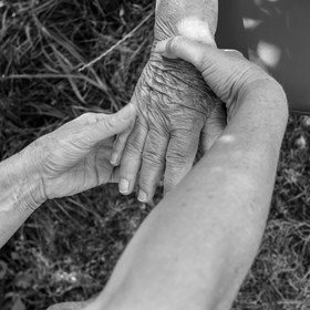 Animations au jardin