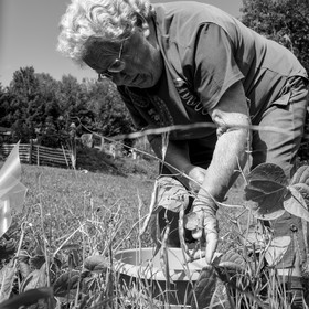 13 septembre 2017 - Chemins - Graines