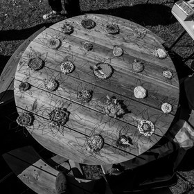 Activités au jardin