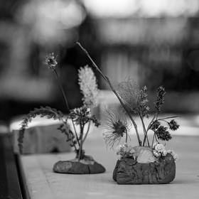 26 juin 2023 : journée des aidants et des aidés