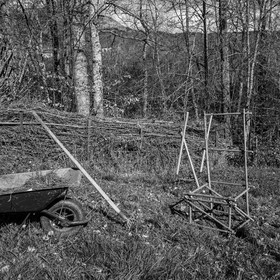 10 avril 2024 : Osier, laine et taille