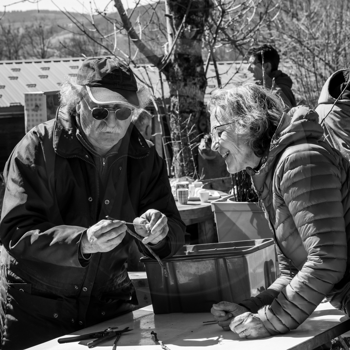 10 avril 2022 : Initiation à la greffe d'arbres fruitiers