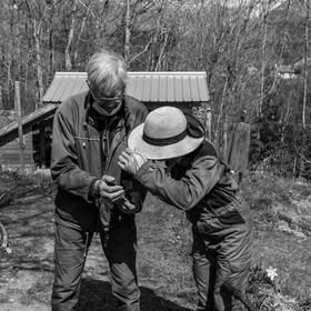 14 avril 2021 : collages, taille, jardinage