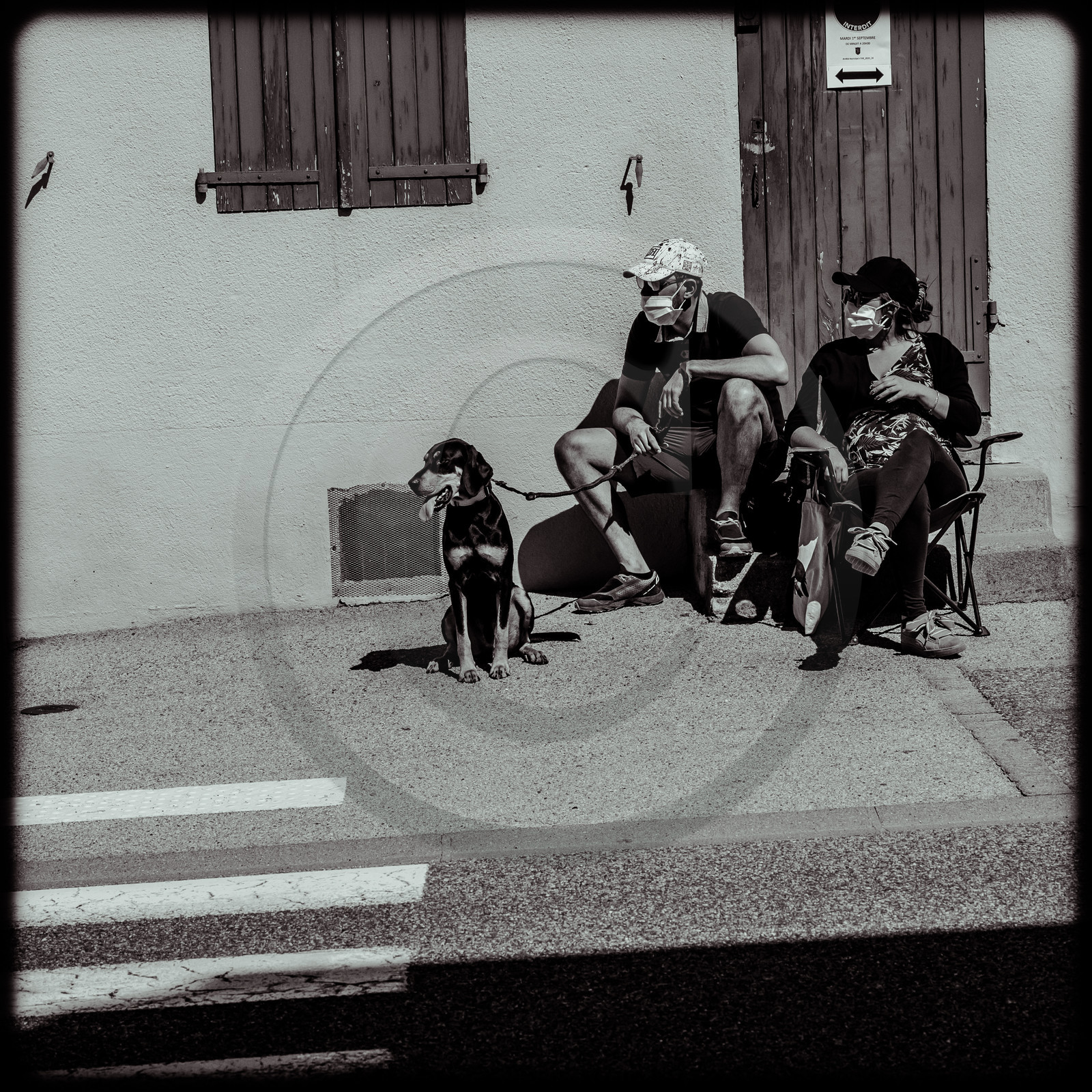 Tour de France cycliste 2020