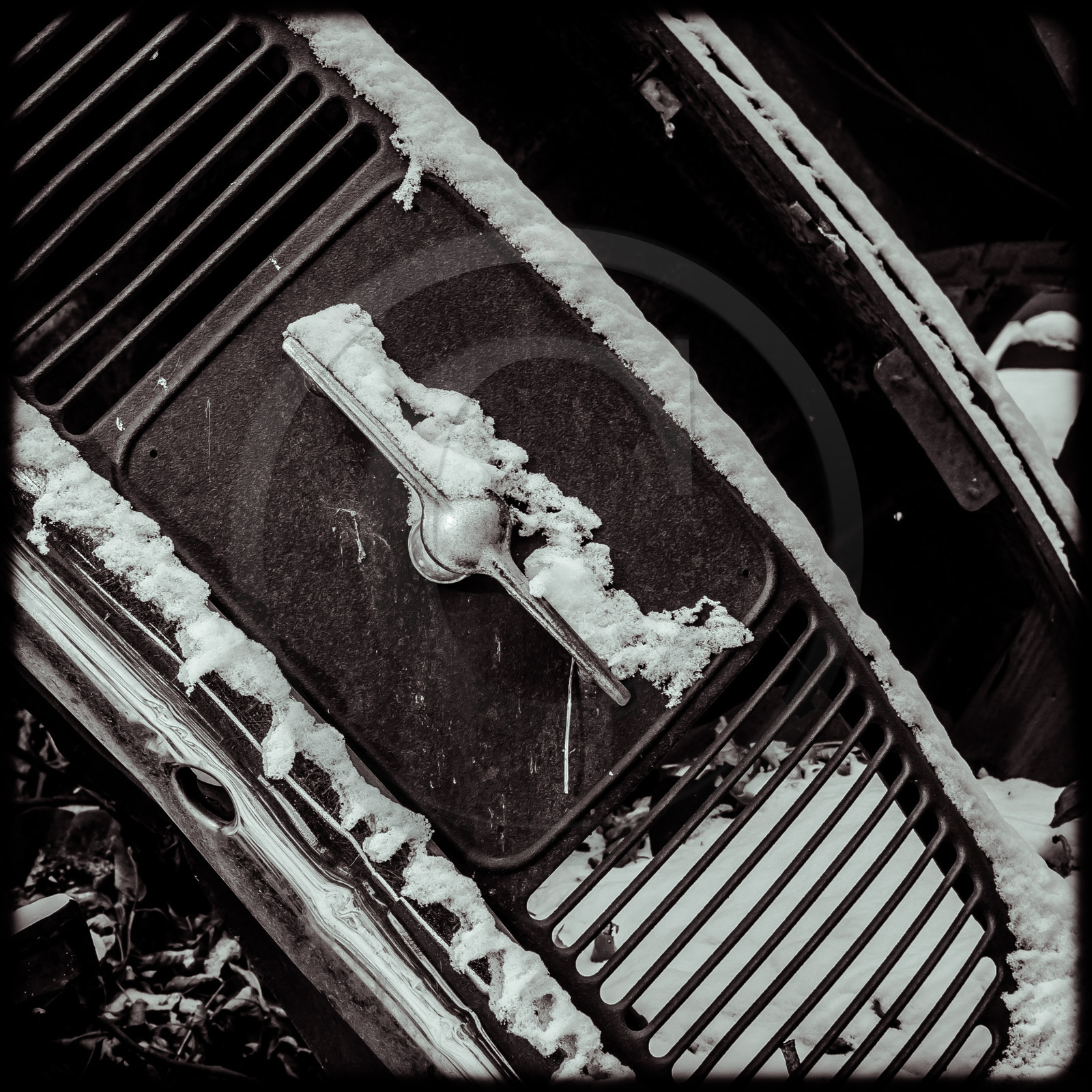 Un cimetière de voitures