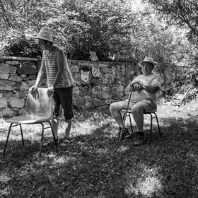 29 juin 2022 : Découverte des plantes sauvages