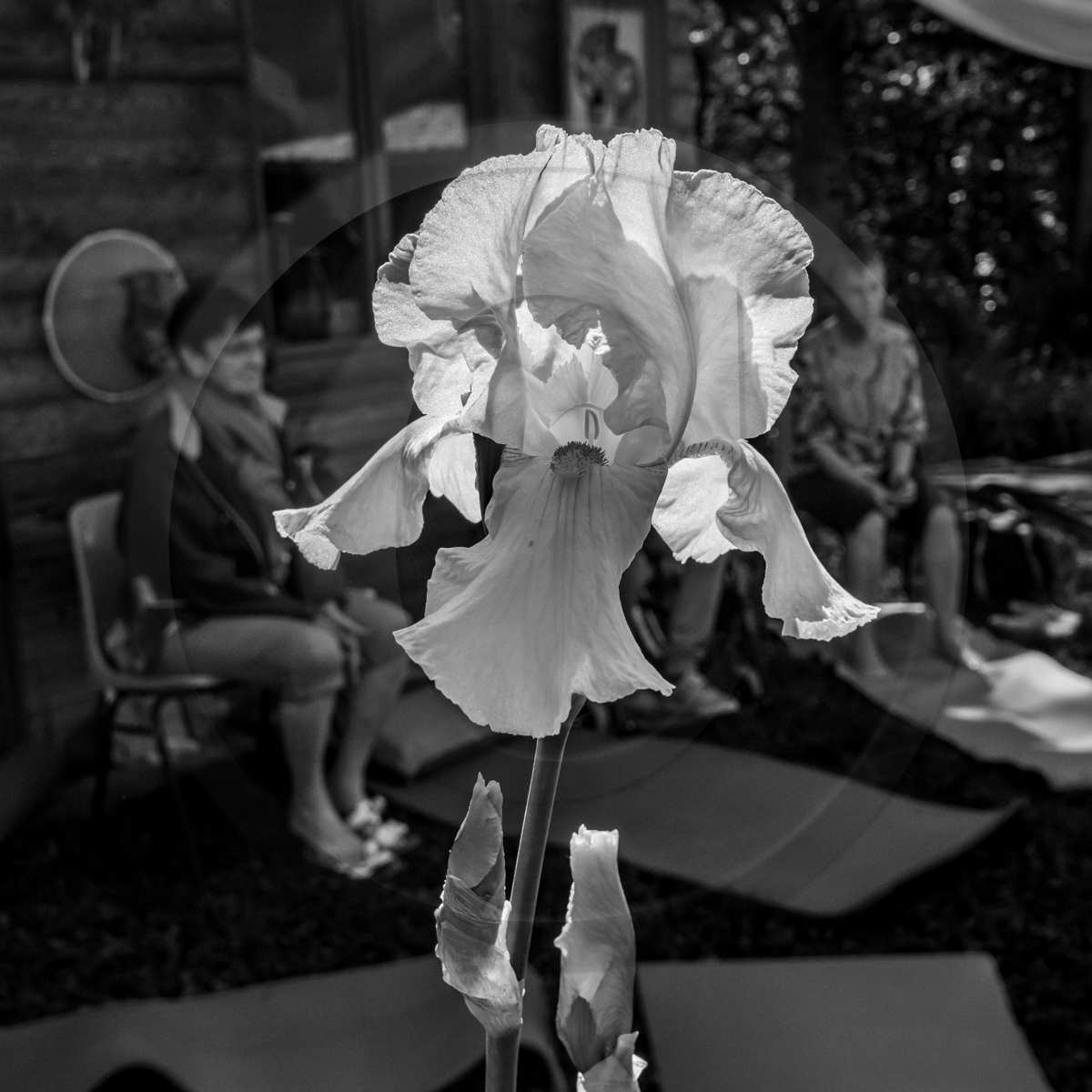 20 mai 2022 : 2ème journée des aidants