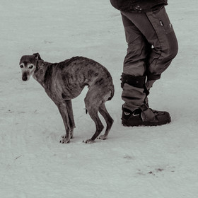 La Valgaude Traineau 2015