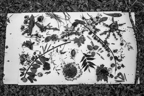 12 octobre 2022 : Land Art à l'Ouort