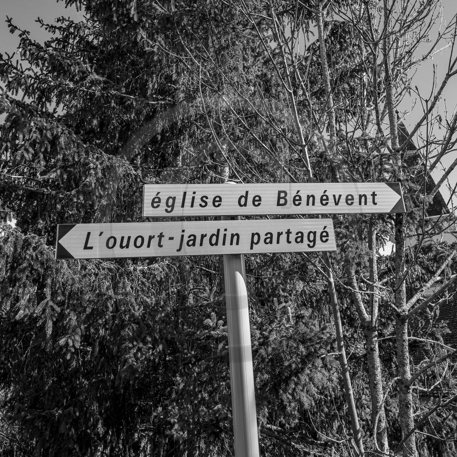 03 avril 2024 : Laine et aménagements au jardin