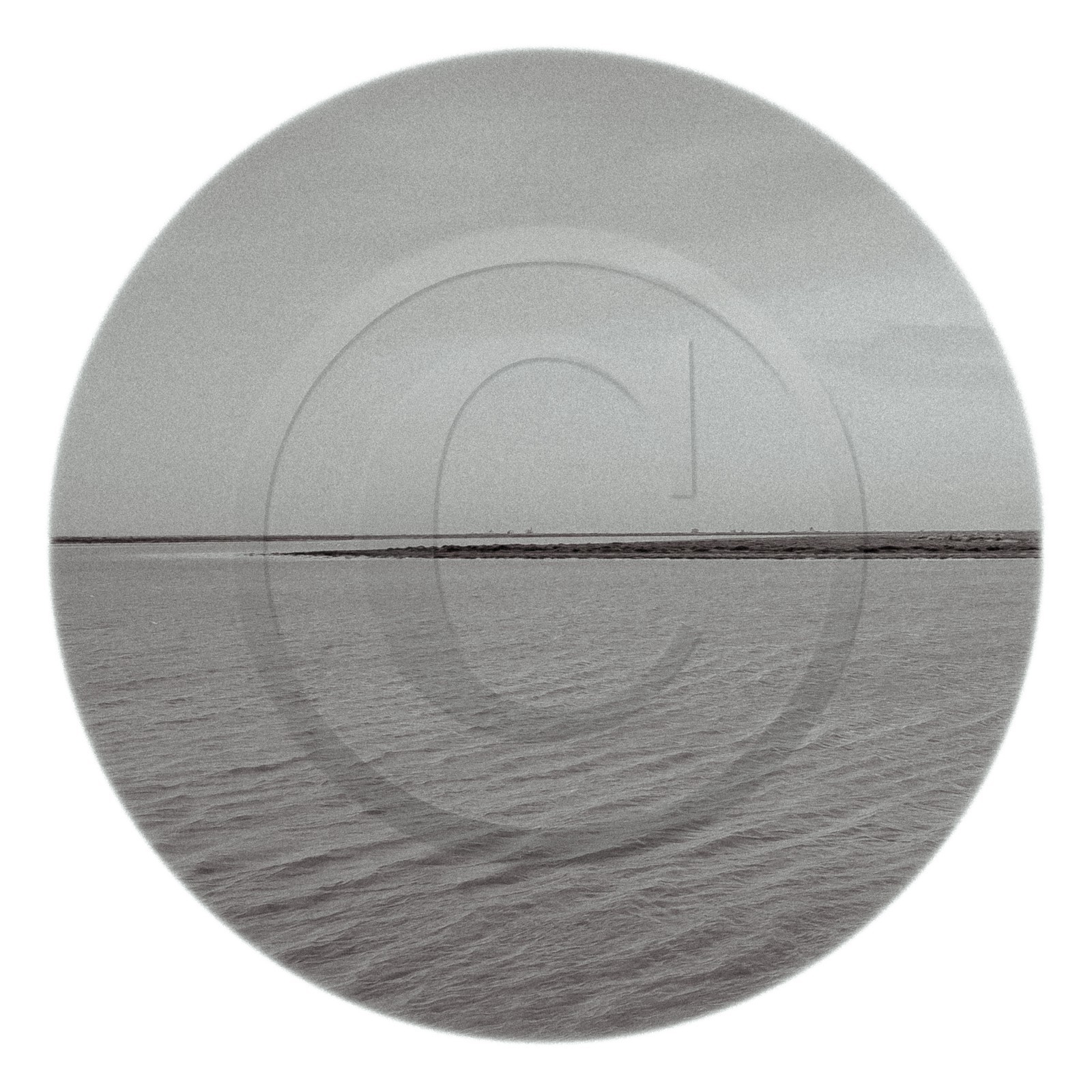 Les instants Camargue