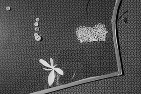 13 septembre 2024 : Journée des aidants - Ateliers créatifs