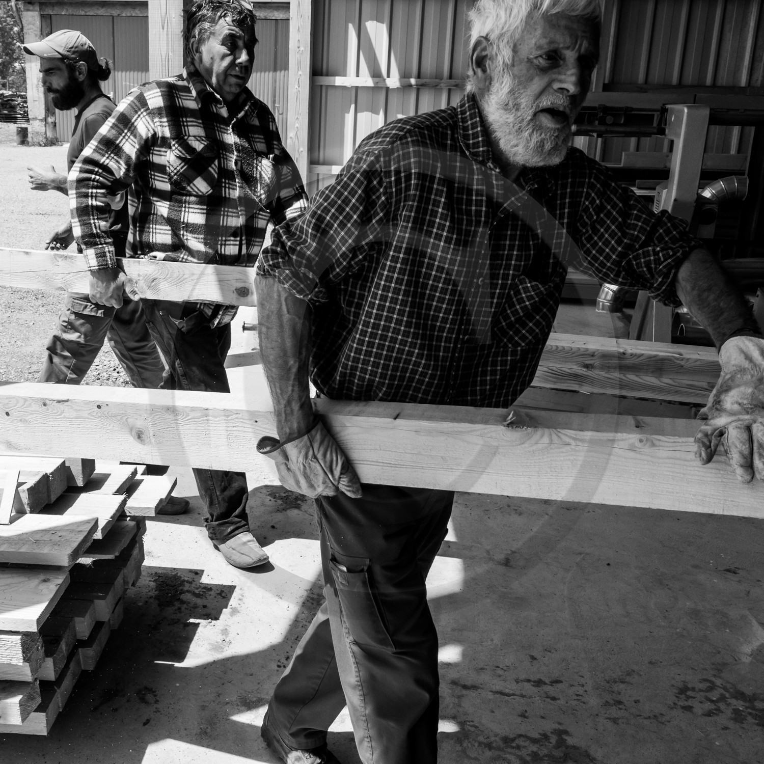 Construction d'une cabane