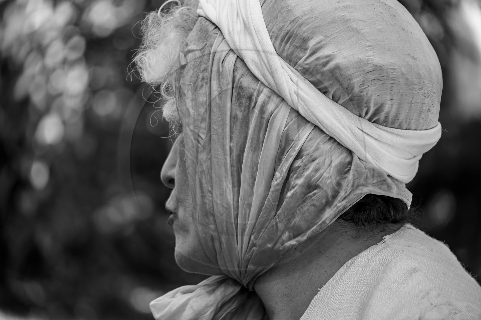 21 aout 2024 : Performance théâtrale d'Annette Chapon