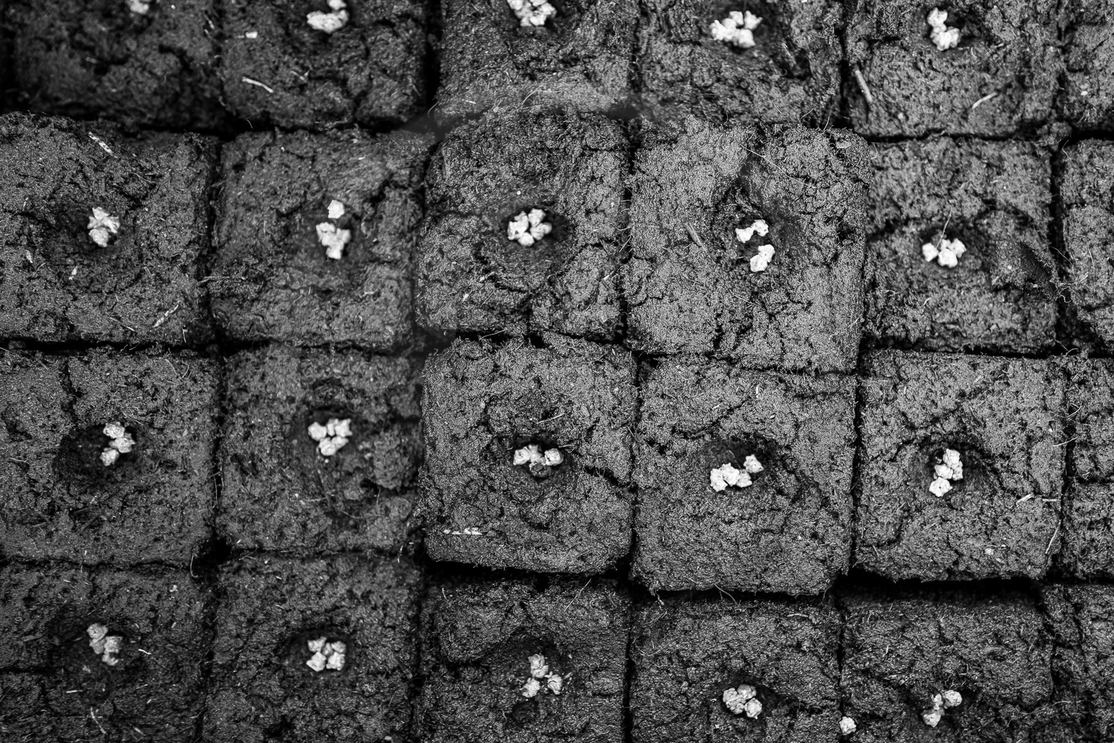 24 mai 2023 : du bricolage, du jardinage et une visite