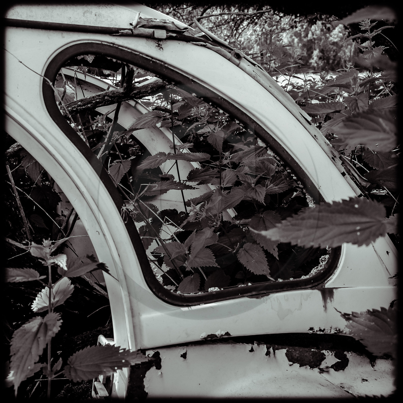 Une maison abandonnée à Saint-Julien-en-Champsaur