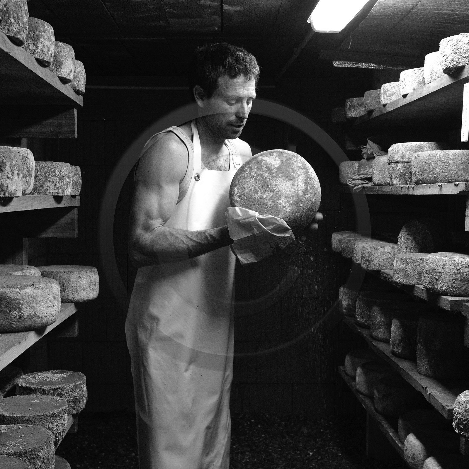 Paul Flambard, fromager