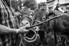 Rencontres paysannes à Saint-Bonnet en Champsaur