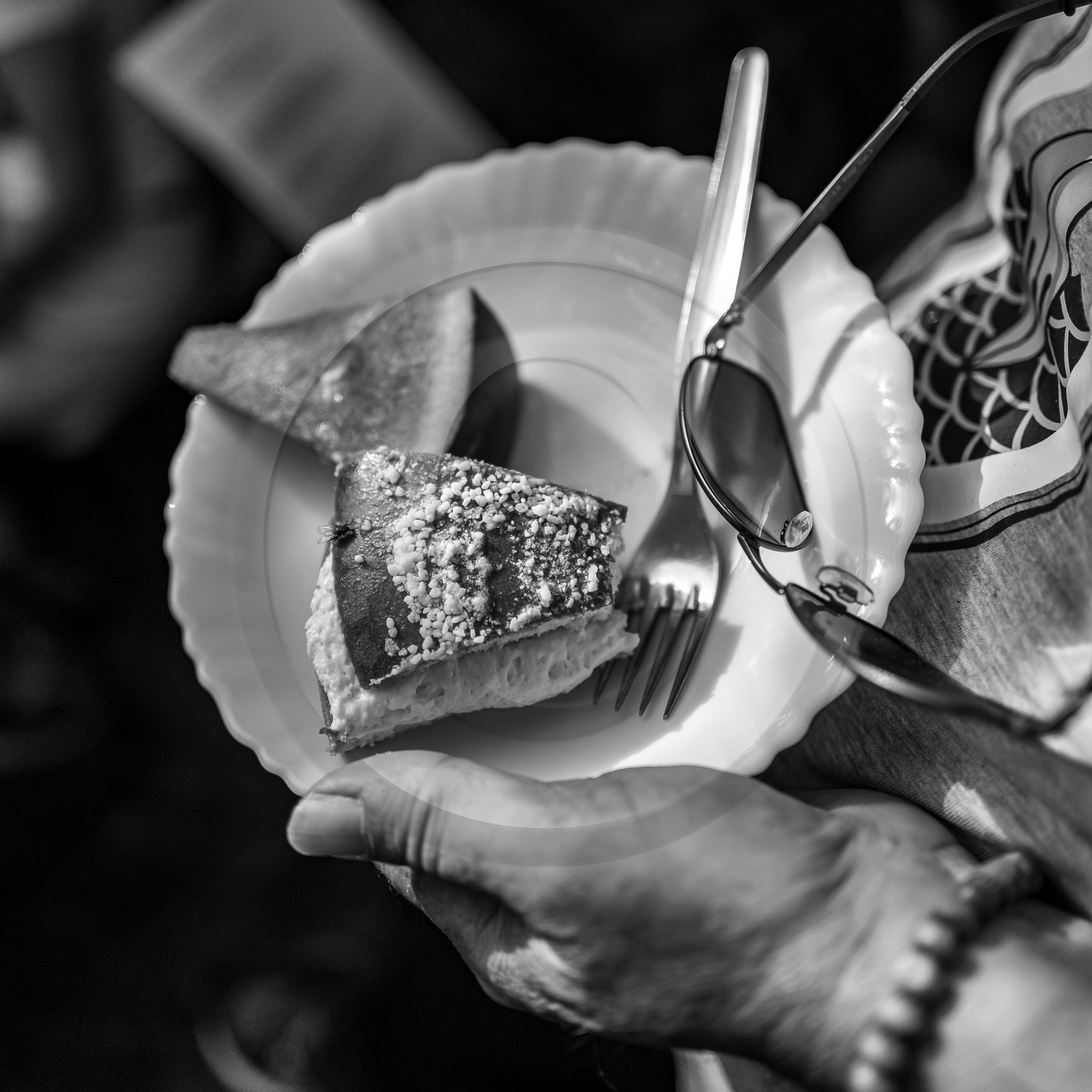 21 juin 2023 : Découverte botanique