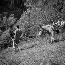 Portage avec des ânes