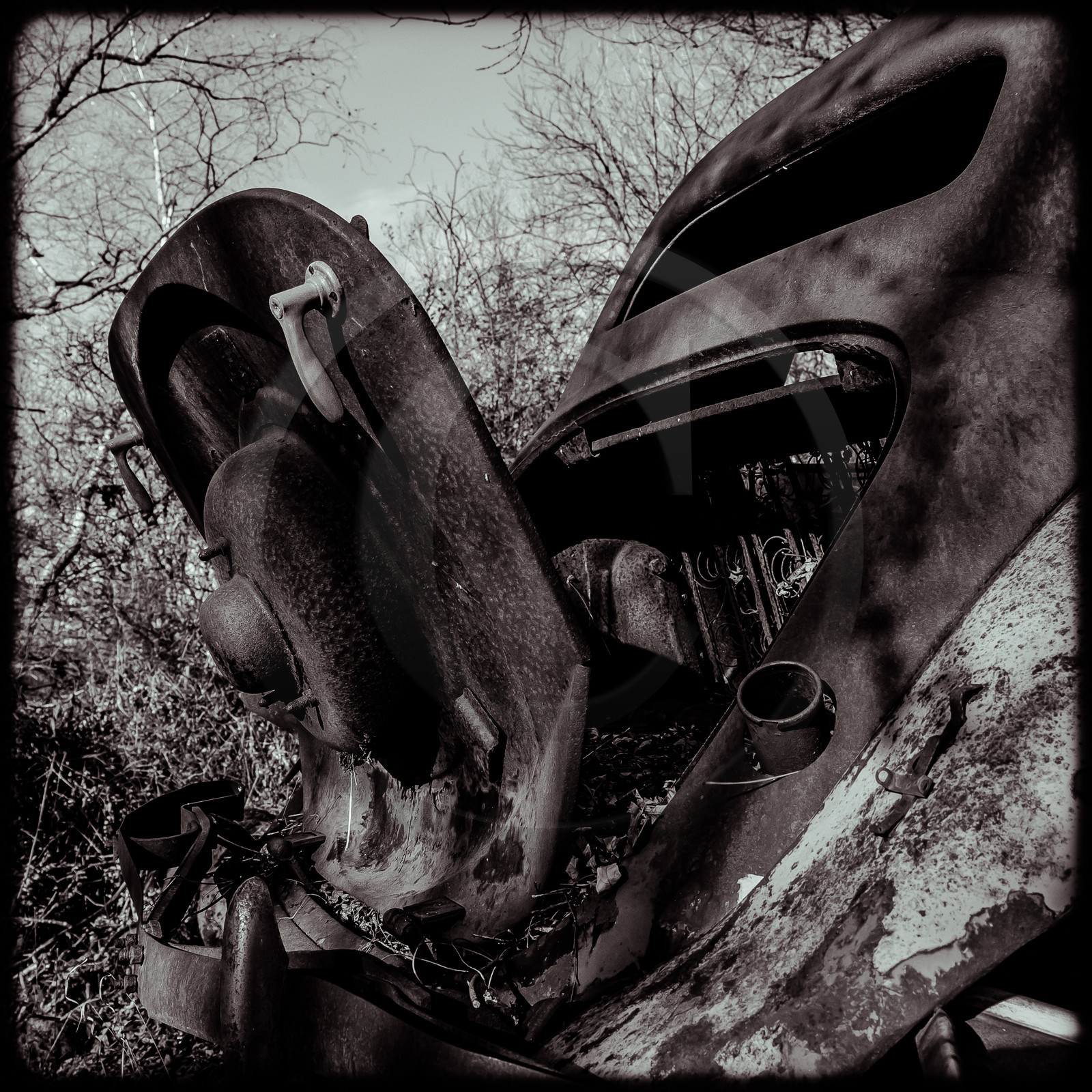 Un cimetière de voitures