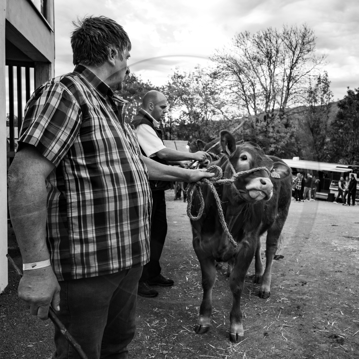 Rencontres paysannes à Saint-Bonnet en Champsaur