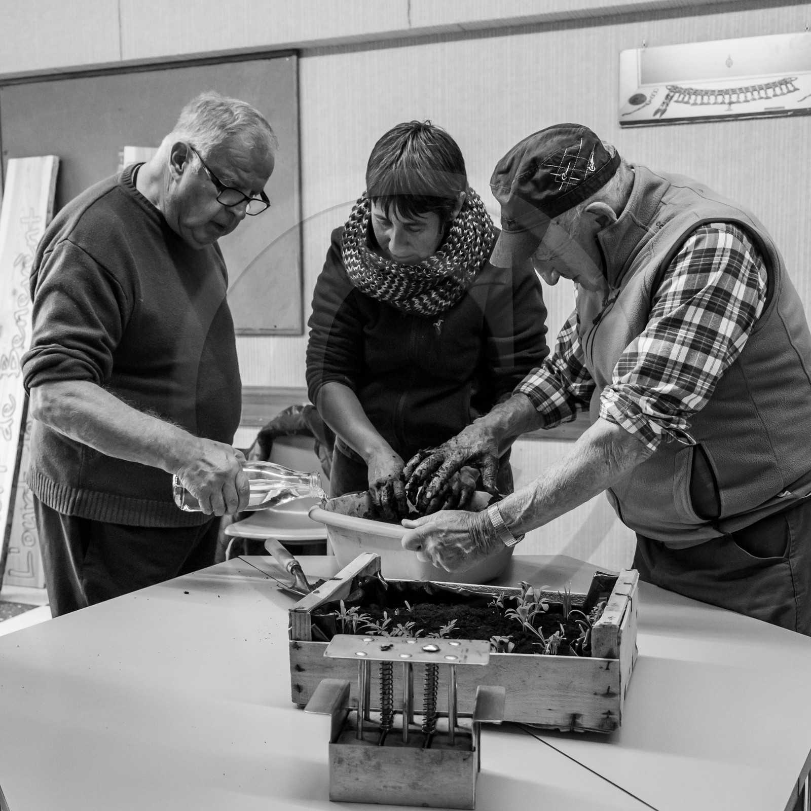 Atelier repiquage et semis - 26 04 2017