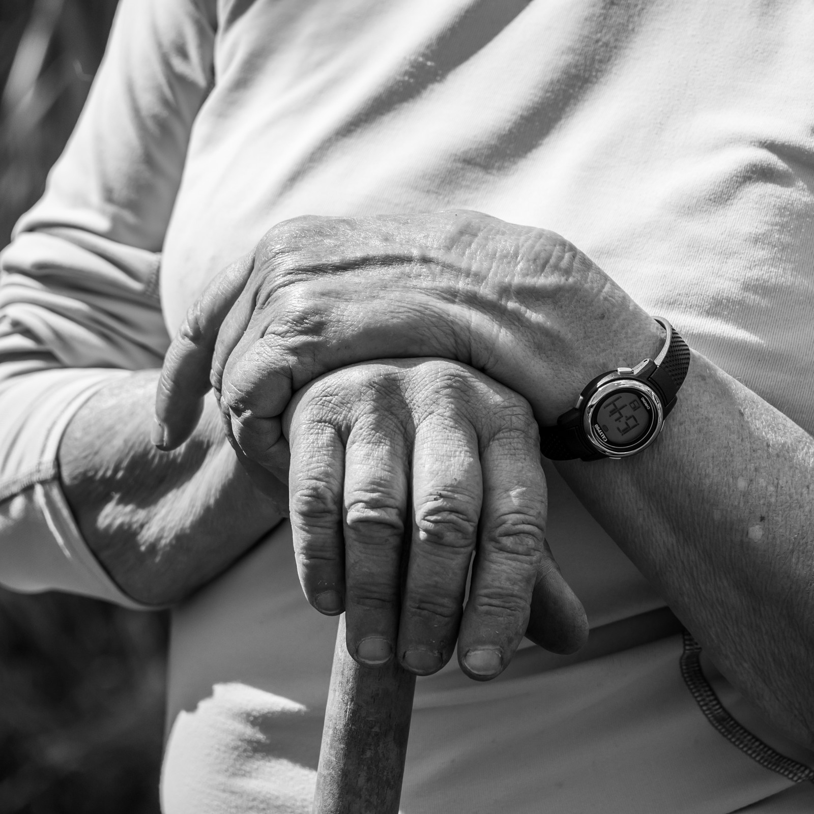 30 avril 2025 : Un oiseau en osier