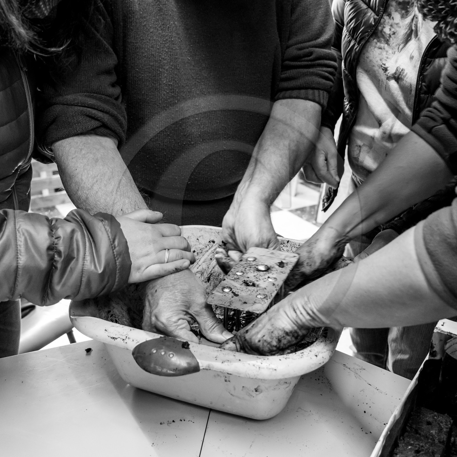 L'Ouort de Bénévent - 26 avril 2017