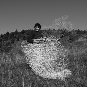 Des moutons et des parcs