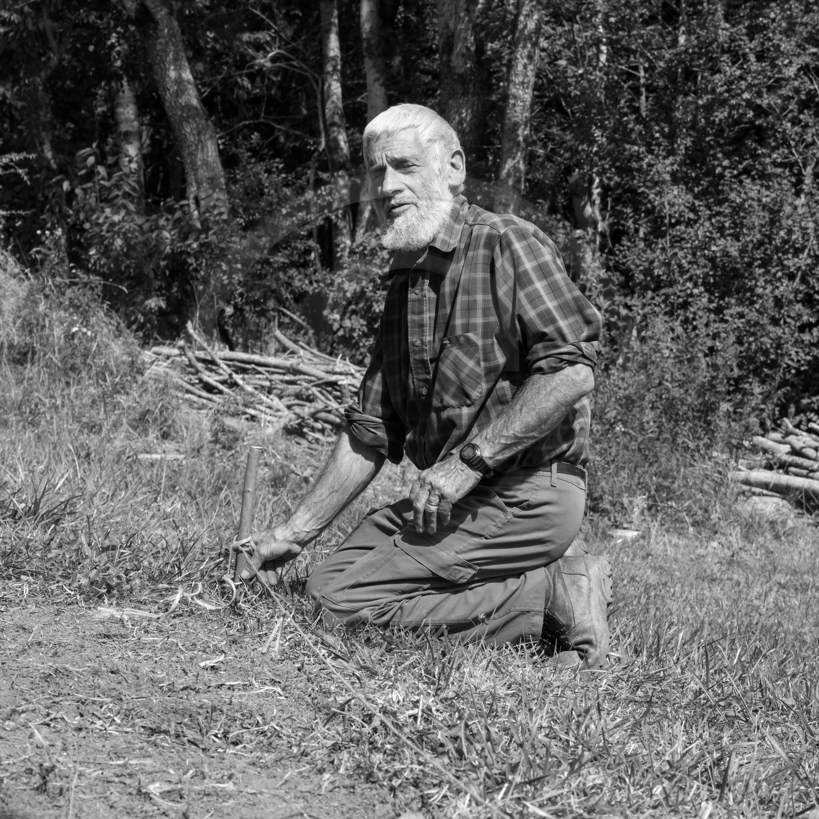 13 septembre 2017 - Chemins - Graines