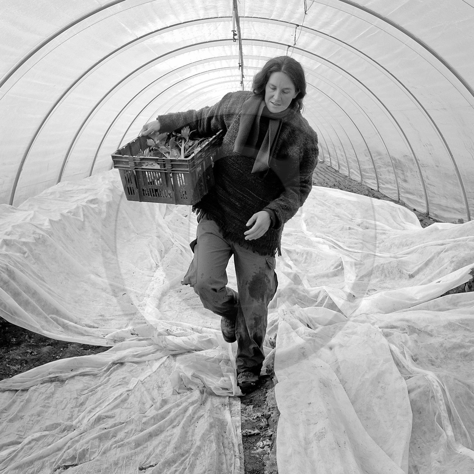 Sophie Jaussaud, maraichère à Ancelle