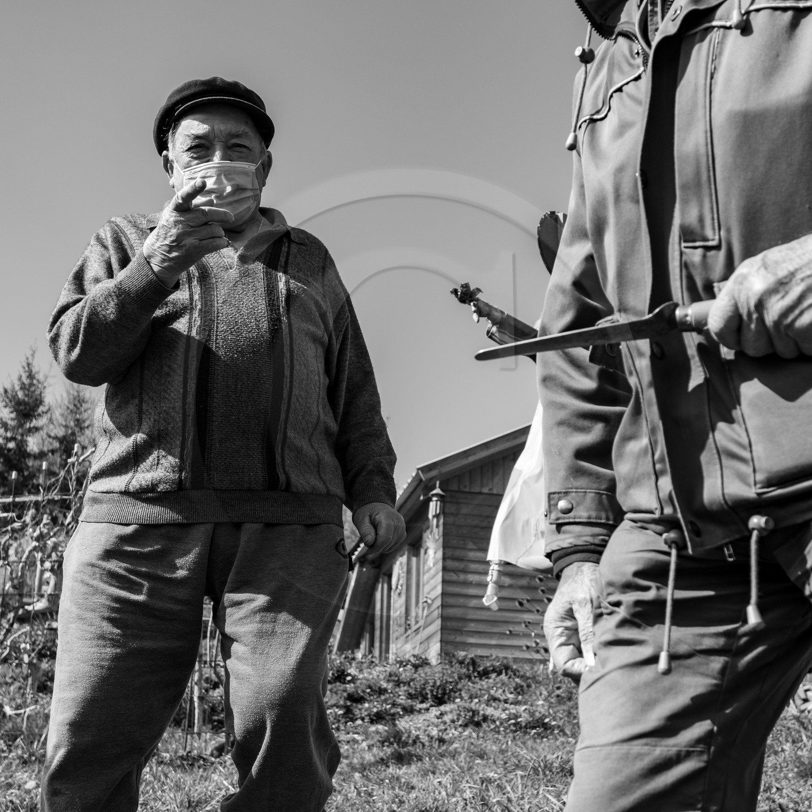 14 avril 2021 : collages, taille, jardinage