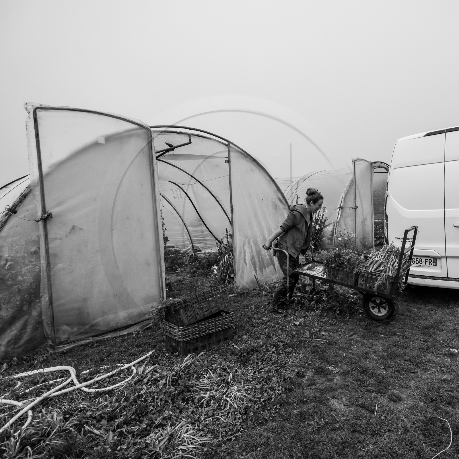 Maraichage biologique dans le Champsaur