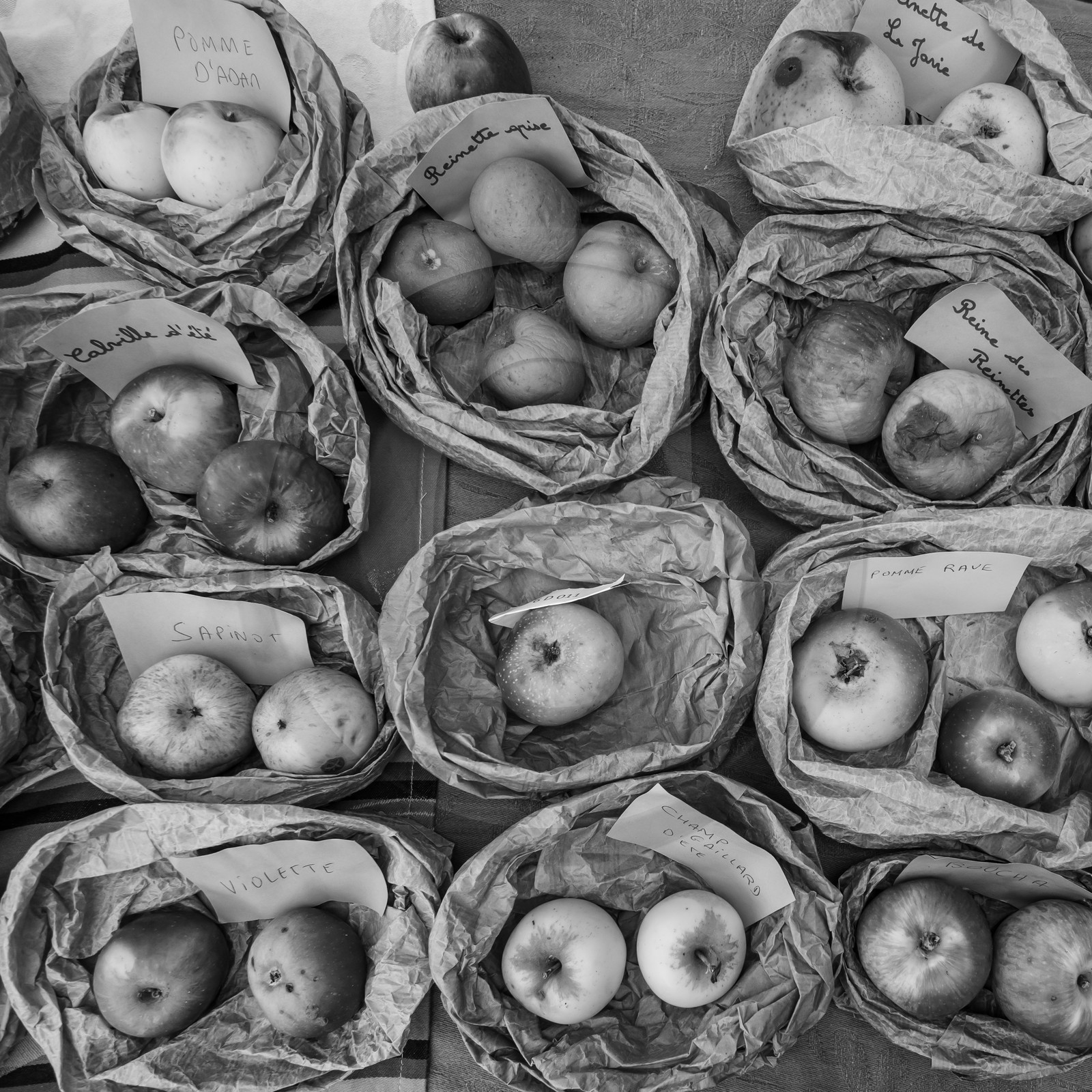 27 octobre 2019 : pommes, soupes et gâteaux