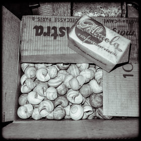 L'Hôtel Fourrat à La-Roche-de-Rame