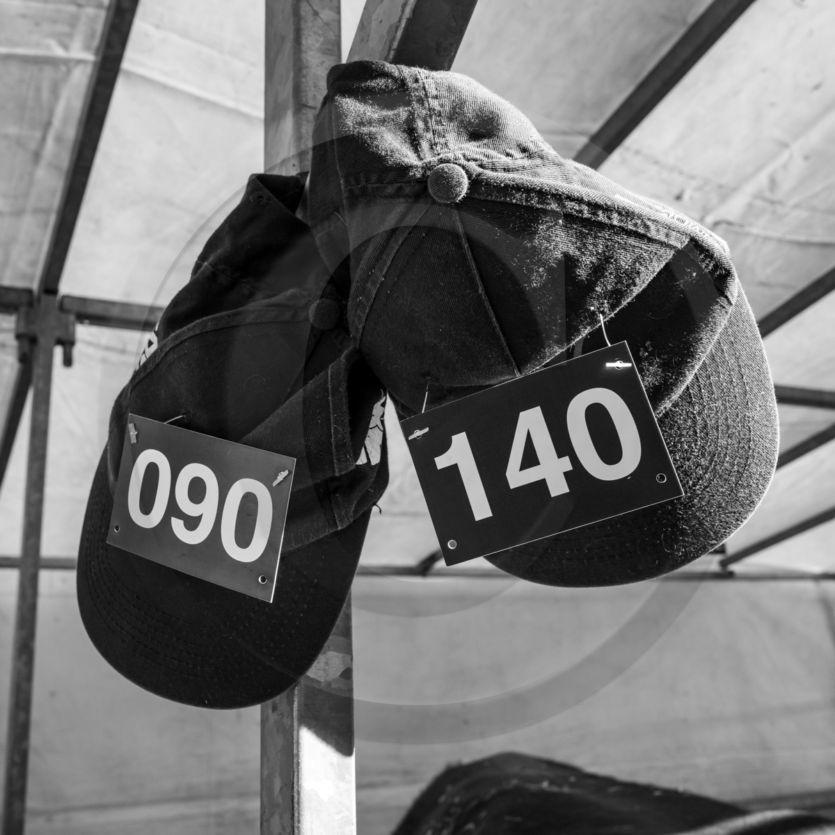 Rencontres paysannes à Saint-Bonnet en Champsaur