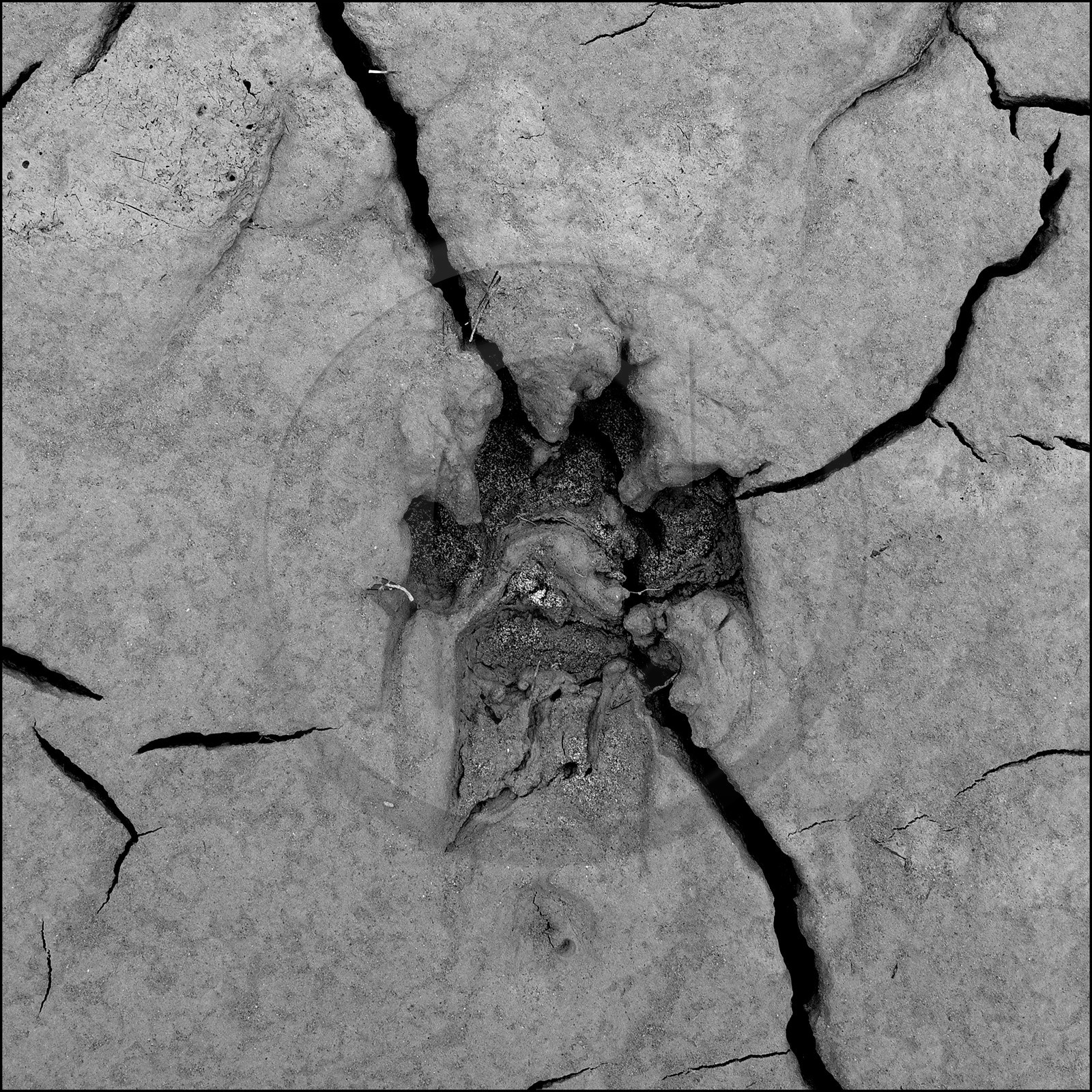 Serre-Ponçon, basses eaux