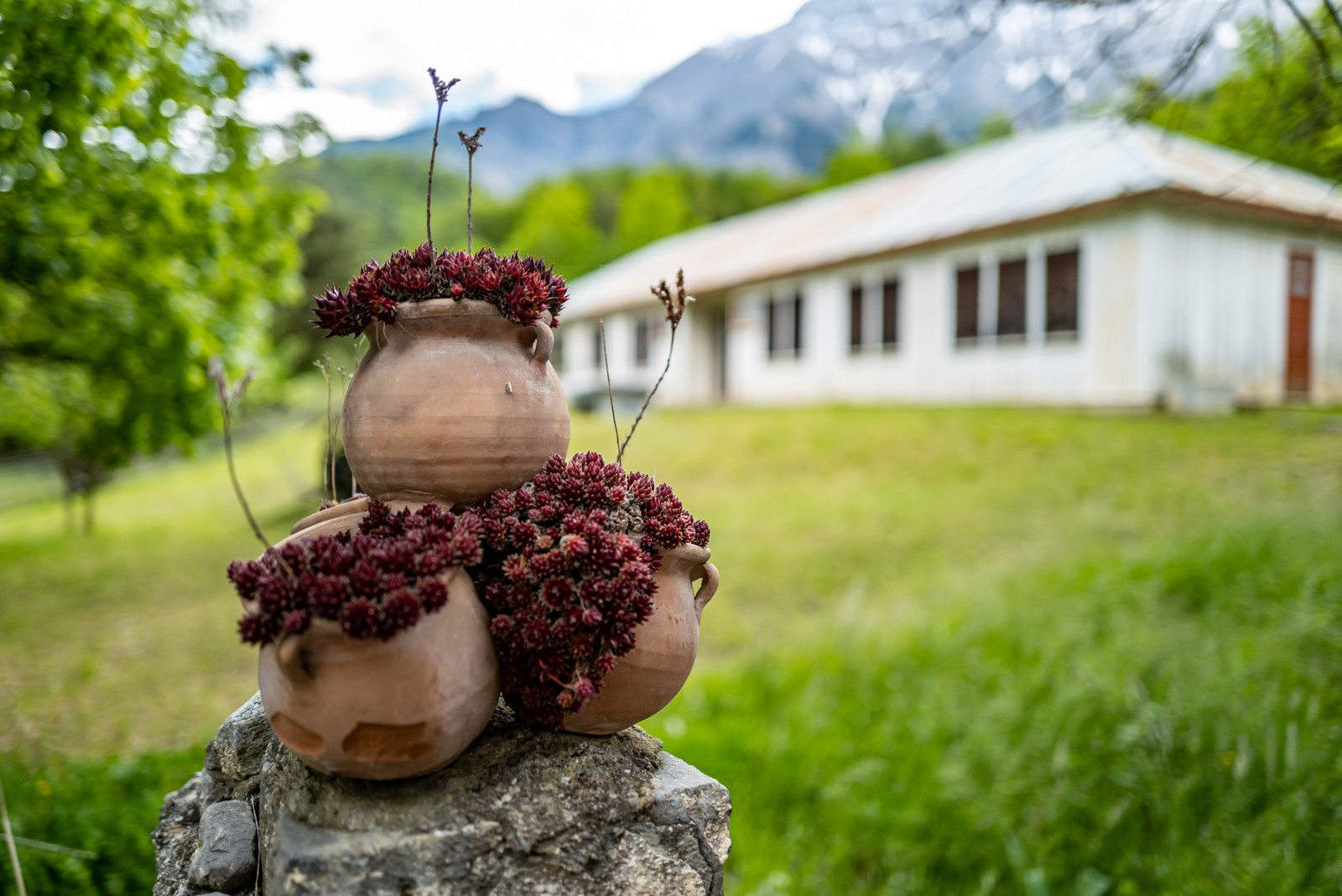 Le Pas du Loup - Le Glaizil -14 mai 2023