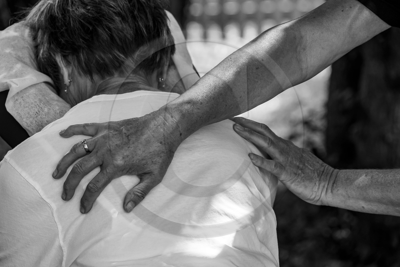 17 juillet 2023 : Journée des aidants et des aidés