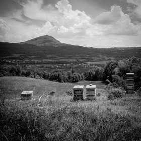 Visite au Rucher des Noisetiers