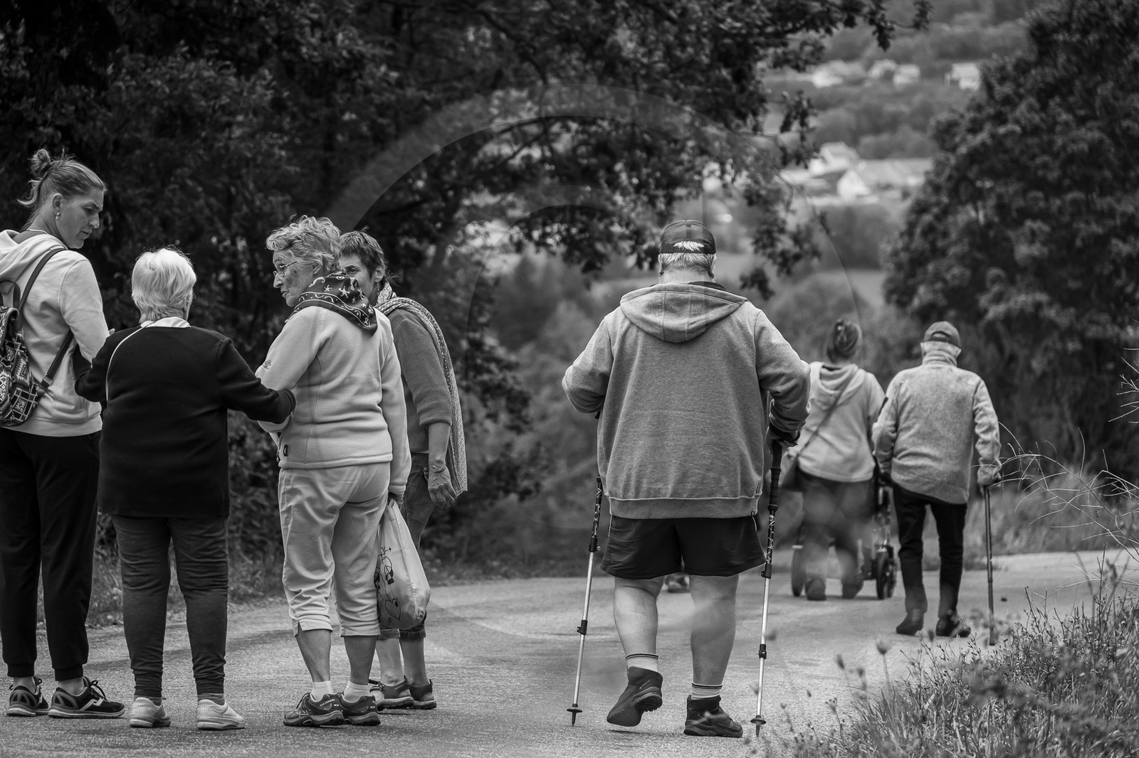 20 septembre 2023 : Promenade en joelette