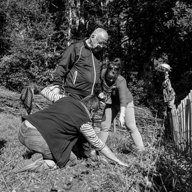 20 septembre 2017 - Jardinage